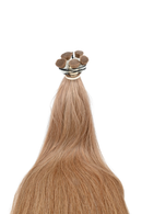 Vietnamese Hair |Light Caramel Tılsım