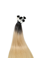 Vietnamese Hair | Ombre Tılsım