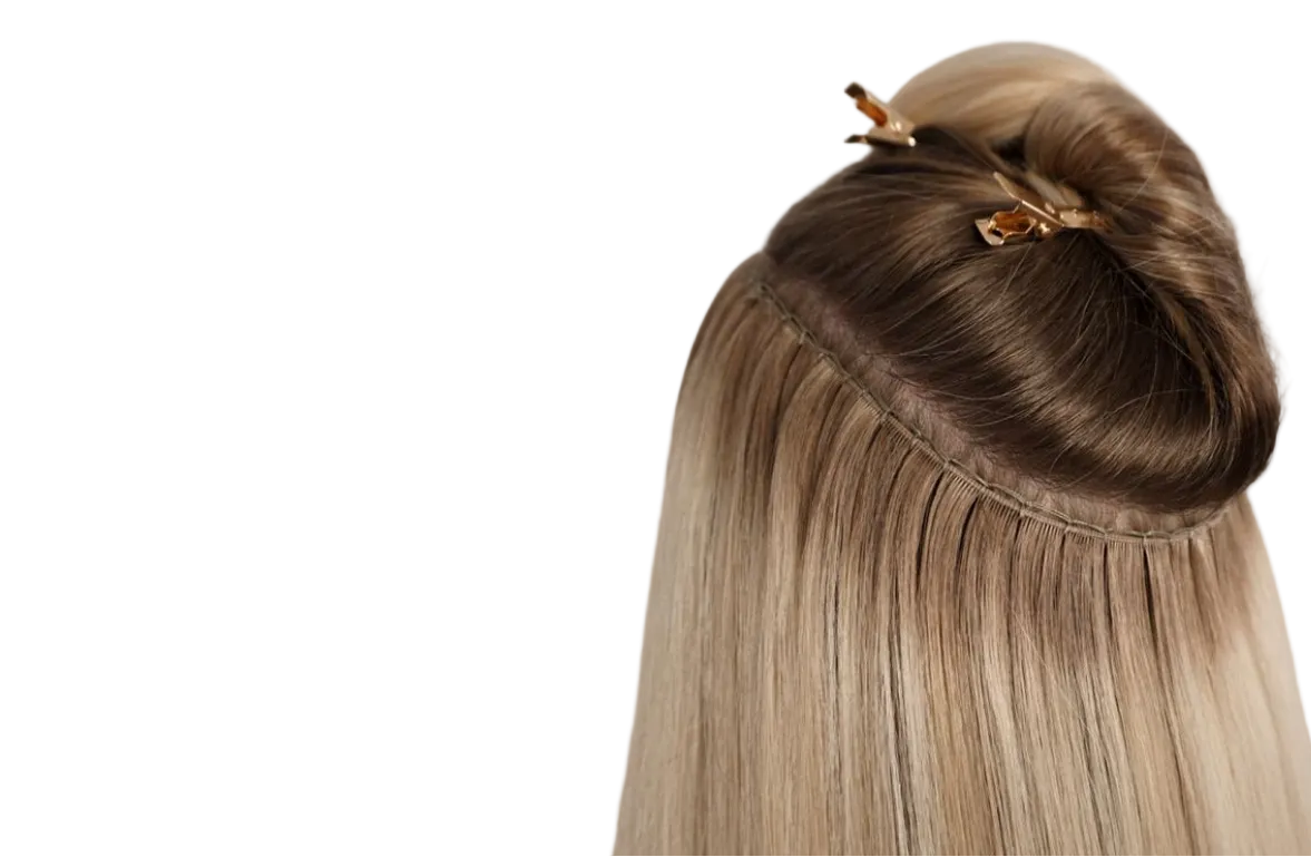 CEFLV_E.png