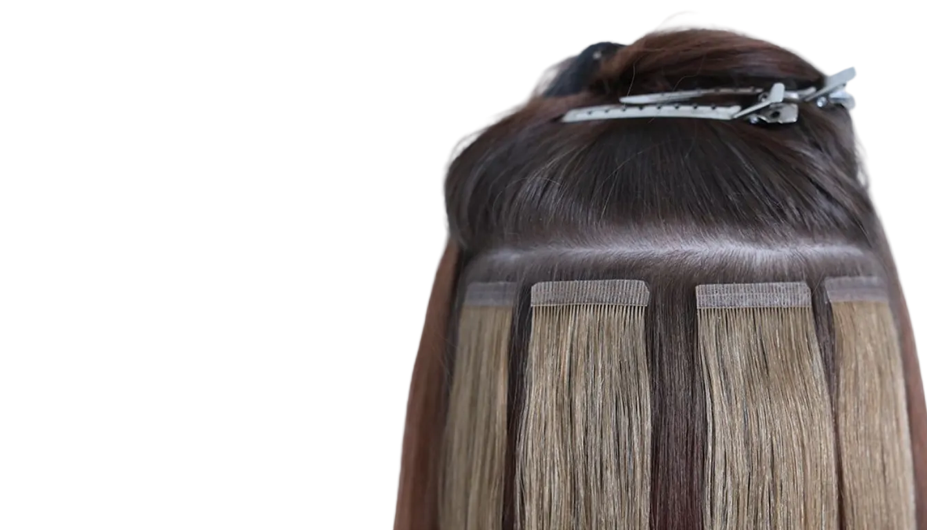 WC.png