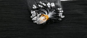 H6 Feather